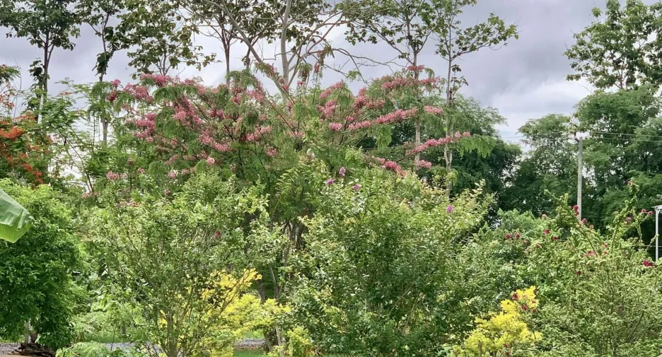 For sale land in Thong Pha Phum, Kanchanaburi