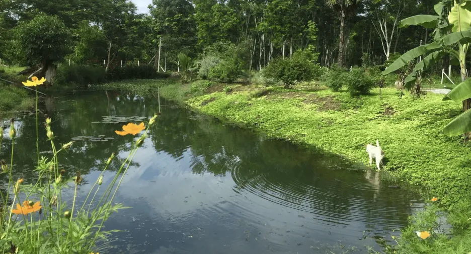 For sale land in Thong Pha Phum, Kanchanaburi