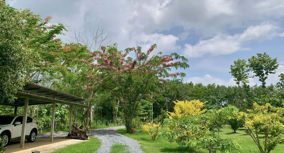 For sale land in Thong Pha Phum, Kanchanaburi