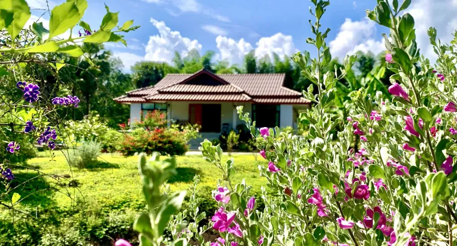 For sale land in Thong Pha Phum, Kanchanaburi