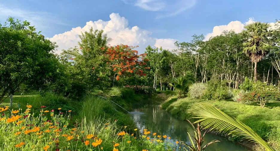 For sale land in Thong Pha Phum, Kanchanaburi