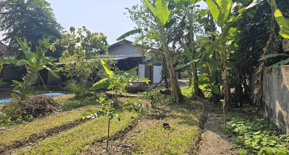 出售 2 卧室 独立屋 在 San Kamphaeng, Chiang Mai