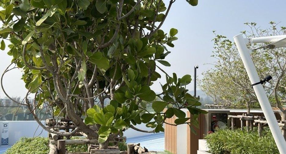 For rent studio condo in Thalang, Phuket