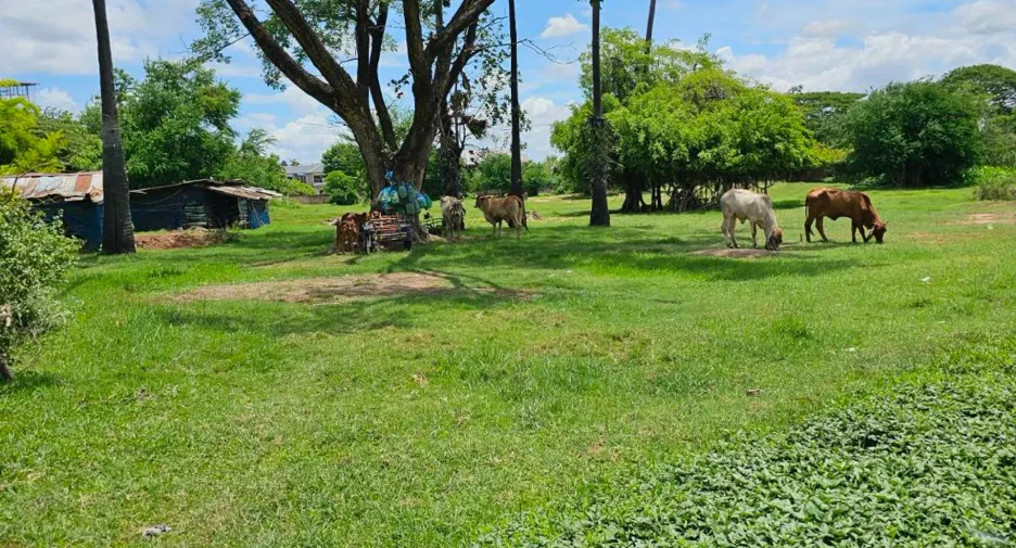 出售 土地 在 Mueang Khon Kaen, Khon Kaen