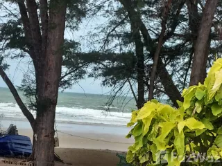 ขาย ที่ดิน ใน เมืองระยอง, ระยอง