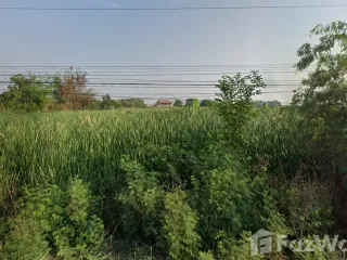 Terreno en venta en Kamphaeng Saen, Nakhon Pathom