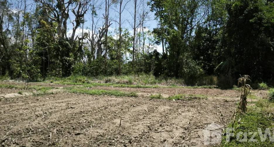 Terreno en venta en Chiang Dao, Chiang Mai
