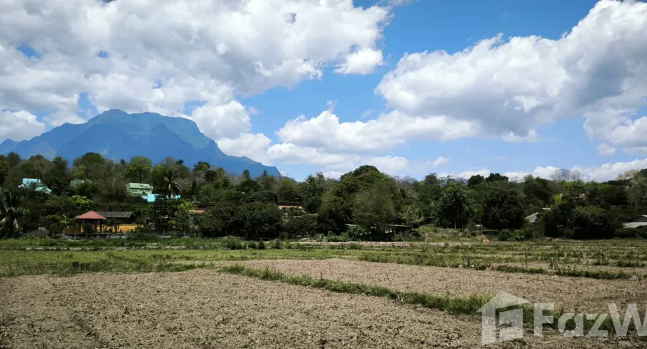 Terreno en venta en Chiang Dao, Chiang Mai