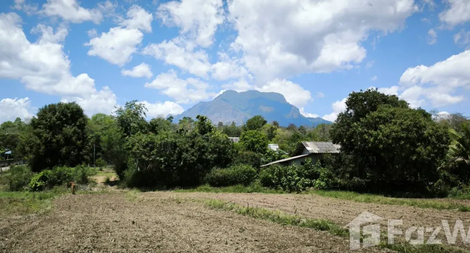 Terreno en venta en Chiang Dao, Chiang Mai