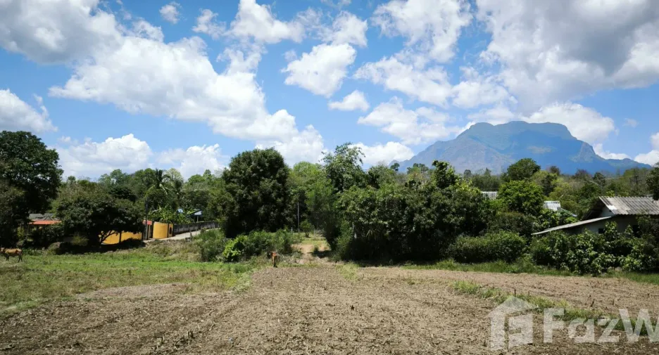 Terreno en venta en Chiang Dao, Chiang Mai