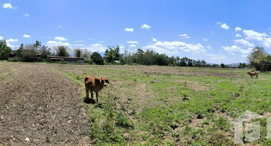 Terreno en venta en Chiang Dao, Chiang Mai
