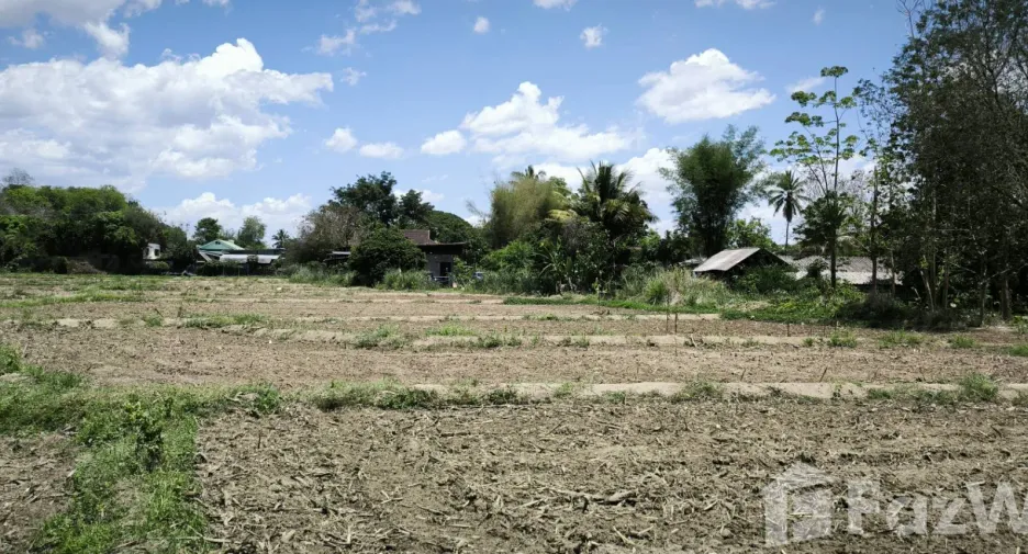 Terreno en venta en Chiang Dao, Chiang Mai