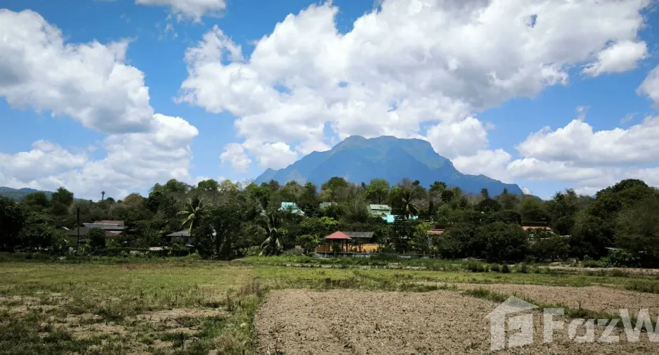 Terreno en venta en Chiang Dao, Chiang Mai