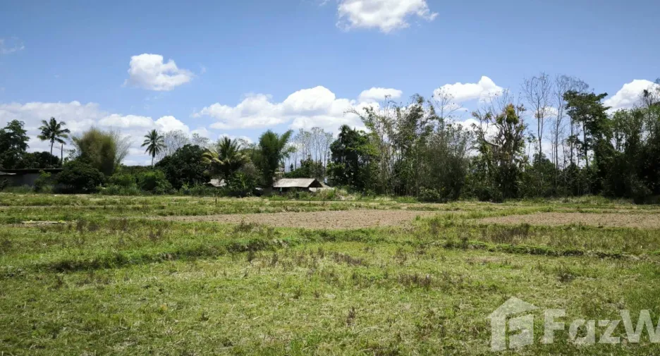 Terreno en venta en Chiang Dao, Chiang Mai