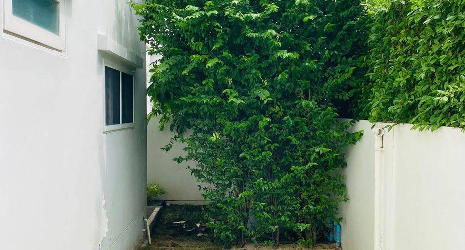 出租 和 出售 3 卧室 独立屋 在 Prawet, 曼谷