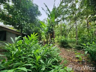 Terreno en venta en Thalang, Phuket
