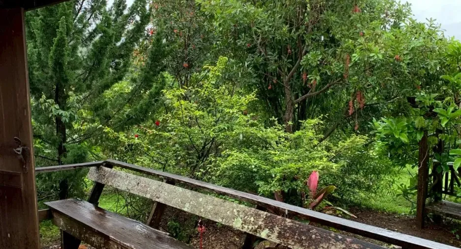 Grundstück zum Kauf in Mae Taeng, Chiang Mai