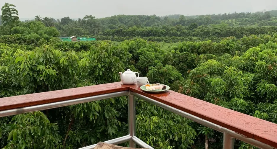 Grundstück zum Kauf in Mae Taeng, Chiang Mai