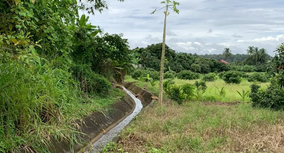 Grundstück zum Kauf in Mae Taeng, Chiang Mai