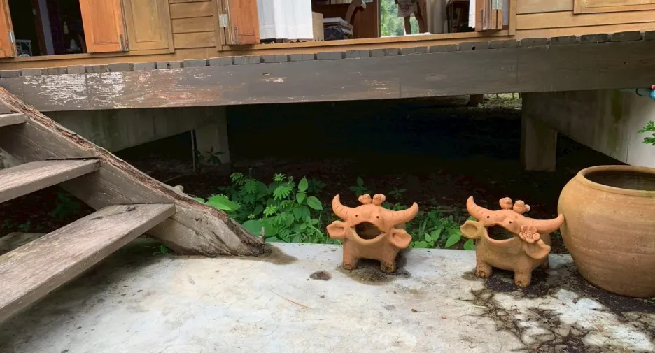Grundstück zum Kauf in Mae Taeng, Chiang Mai