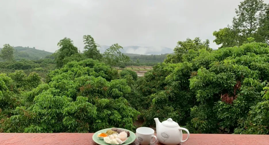 Grundstück zum Kauf in Mae Taeng, Chiang Mai