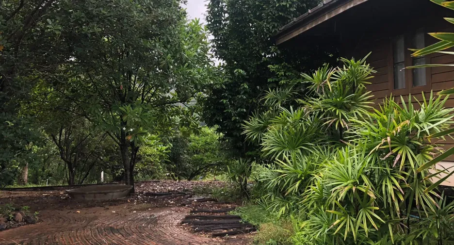 Grundstück zum Kauf in Mae Taeng, Chiang Mai