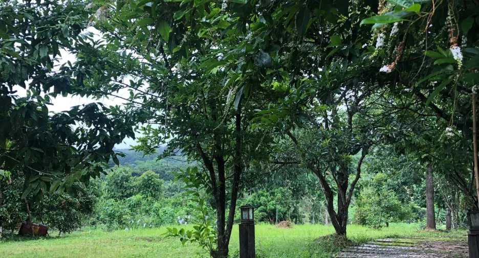 Grundstück zum Kauf in Mae Taeng, Chiang Mai
