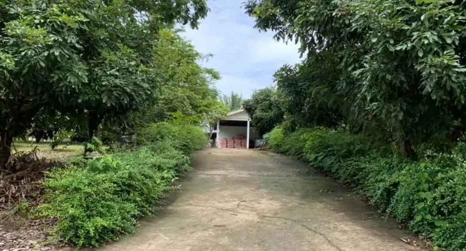 Grundstück zum Kauf in Mae Taeng, Chiang Mai