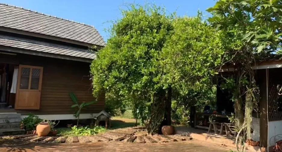 Grundstück zum Kauf in Mae Taeng, Chiang Mai