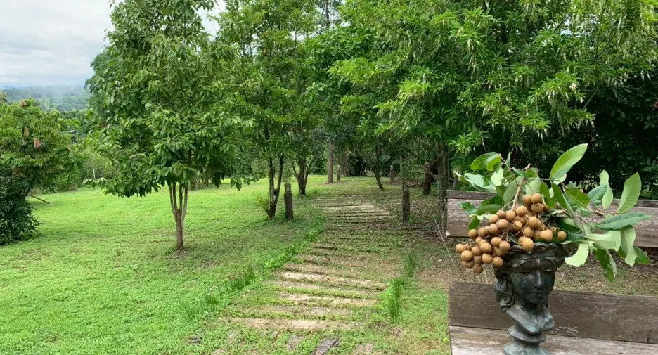 Grundstück zum Kauf in Mae Taeng, Chiang Mai