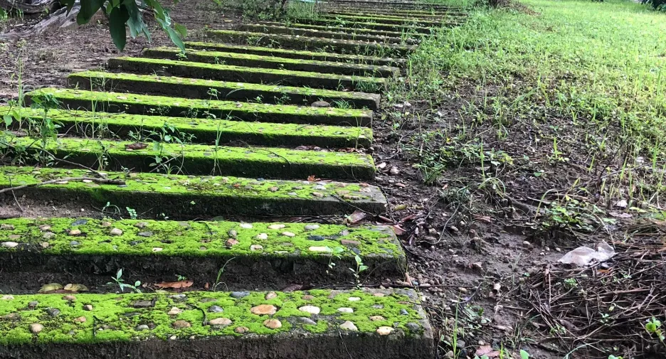 Grundstück zum Kauf in Mae Taeng, Chiang Mai