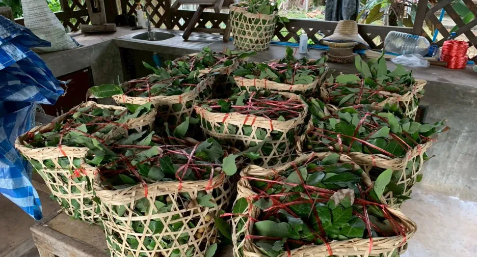 Grundstück zum Kauf in Mae Taeng, Chiang Mai