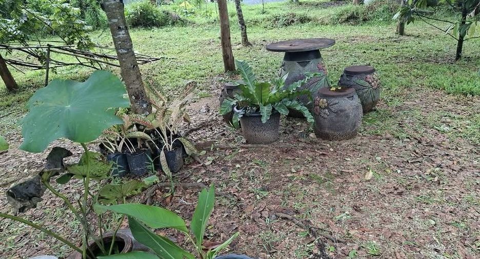 ให้เช่า 3 ห้องนอน บ้านเดี่ยว ใน ถลาง, ภูเก็ต
