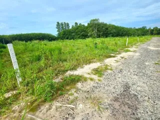 ขาย ที่ดิน ใน นิคมพัฒนา, ระยอง