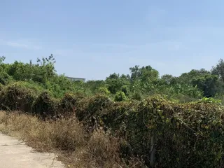 Grundstück zum Kauf in Sai Noi, Nonthaburi