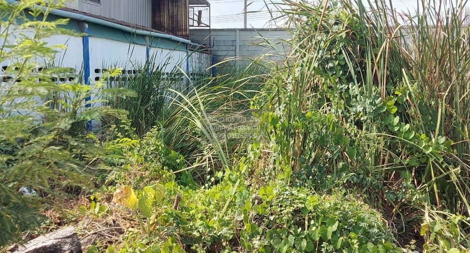 Terreno en venta de 1 habitaciones en Lam Luk Ka, Pathum Thani