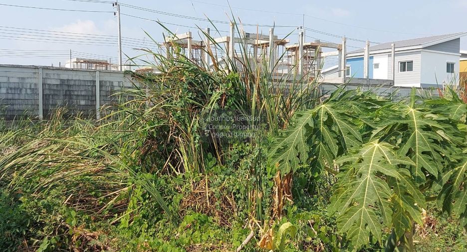 Terreno en venta de 1 habitaciones en Lam Luk Ka, Pathum Thani