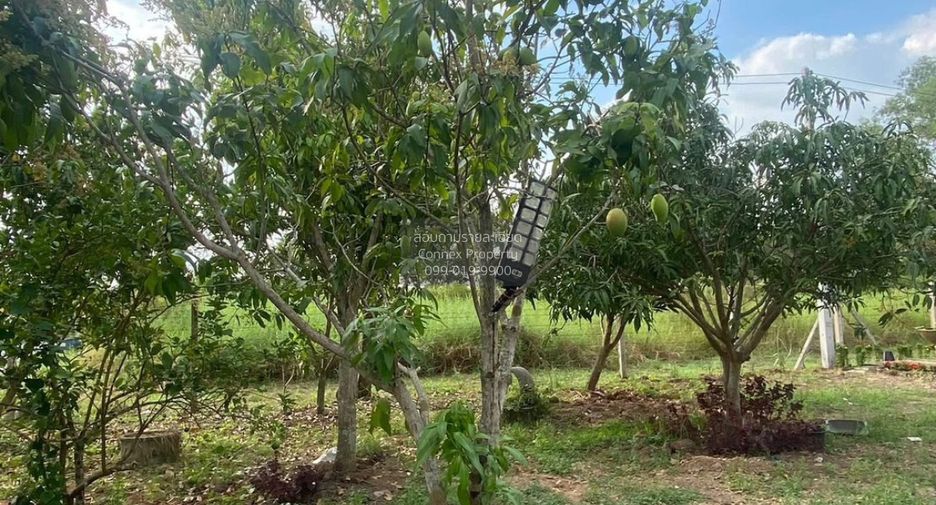 For sale 2 ベッドルーム house in Nong Suea, Pathum Thani
