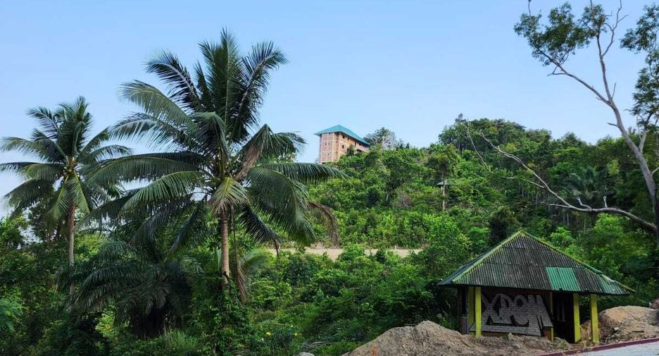 For sale land in Ko Pha-ngan, Surat Thani