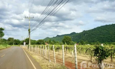 Grundstück zum Kauf in Pak Chong, Nakhon Ratchasima