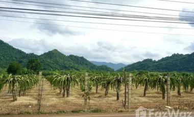 Grundstück zum Kauf in Pak Chong, Nakhon Ratchasima