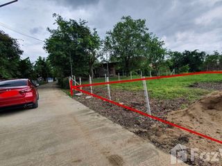 Terreno en venta en Mae Rim, Chiang Mai