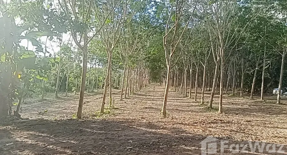 For sale land in Klaeng, Rayong