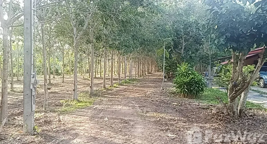 For sale land in Klaeng, Rayong