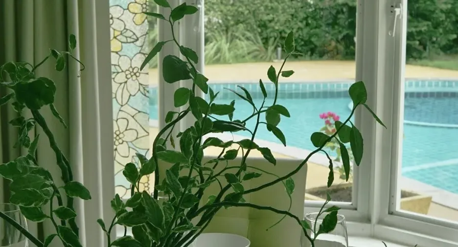Villa zur Miete mit 3 Zimmer in Mueang Phuket, Phuket