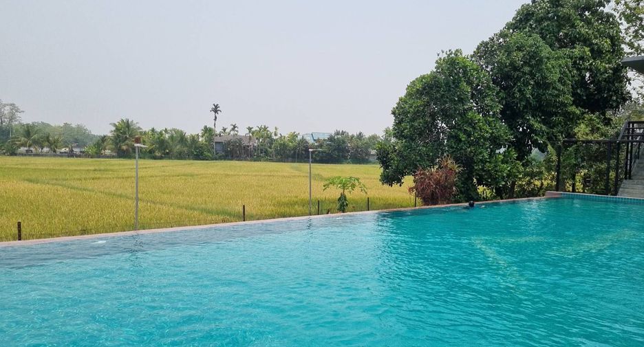 出租 5 卧室 商业空间 在 San Sai, Chiang Mai