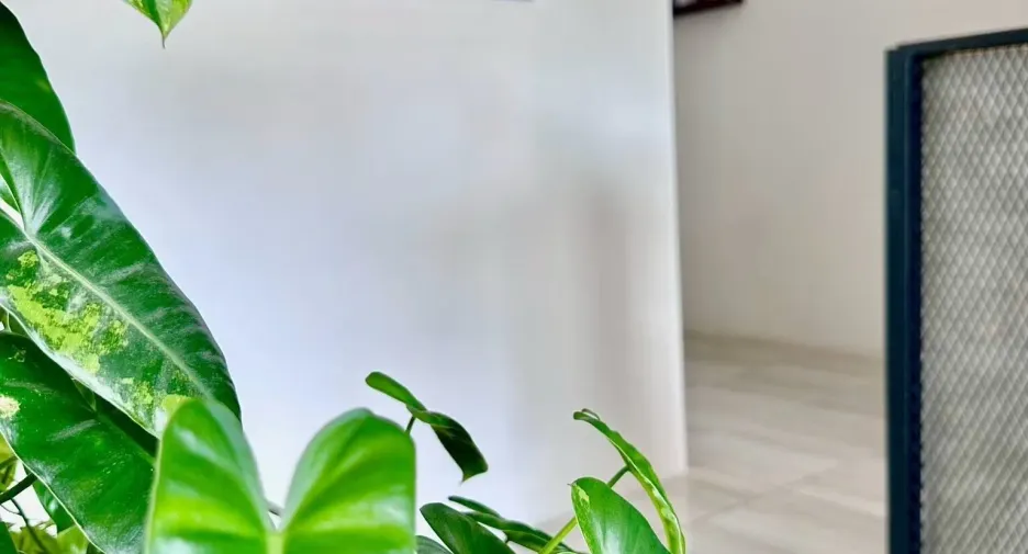出租 3 卧室 独立屋 在 Mueang Surat Thani, 素叻