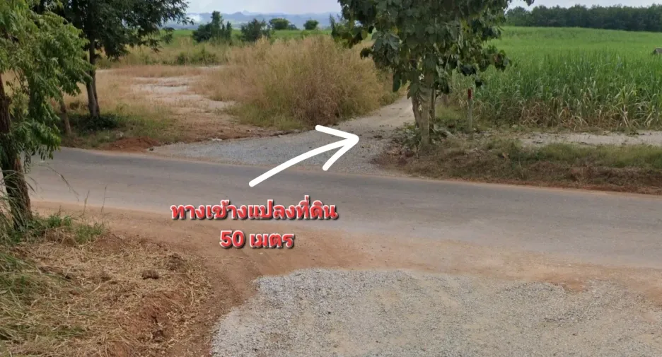 For sale land in Erawan, Loei