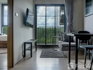 For rent 1 bed condo in Mueang Phuket, Phuket