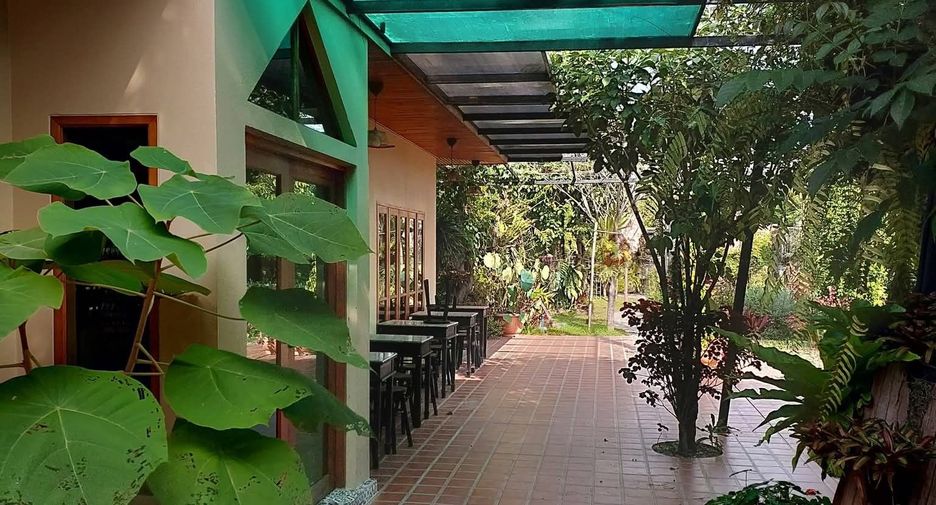Casa en venta de 4 habitaciones en Mae Rim, Chiang Mai